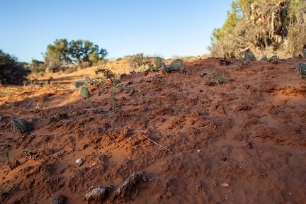 imgi_2_nsplsh_ba789c30256a4075afa39dd8ffb82560~mv2