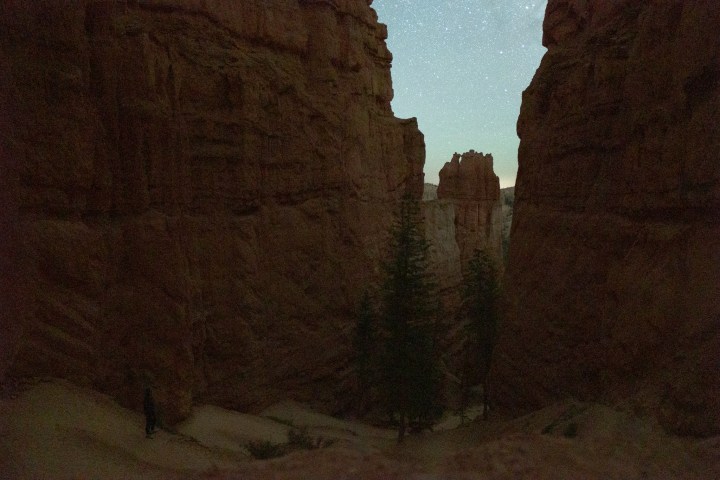 Starry night sky over narrow canyon with trees at the bottom.